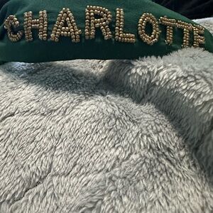 UNCC beaded headband
